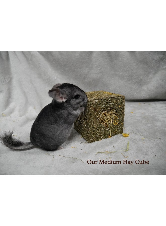 Rosewood Naturals ‘I Love Hay’ Forage Cube, Treat & Toy for Small Animals, Large - Image 3