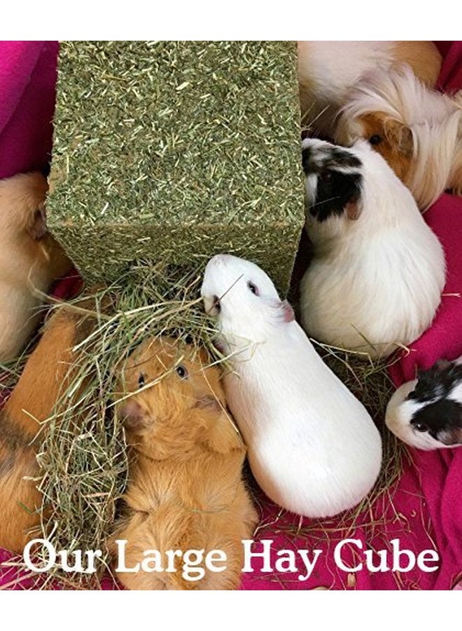 Rosewood Naturals ‘I Love Hay’ Forage Cube, Treat & Toy for Small Animals, Large - Image 4