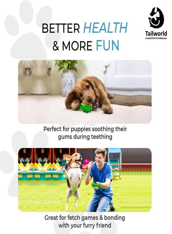 Tailworld Vinyl Spike Dumbell | Good for Teething | for Puppies, Dogs with Noise | 100% Natural Rubber Food Grade Quality | Great for Playing Fetch | Safe and Durable for Pets | - Image 2