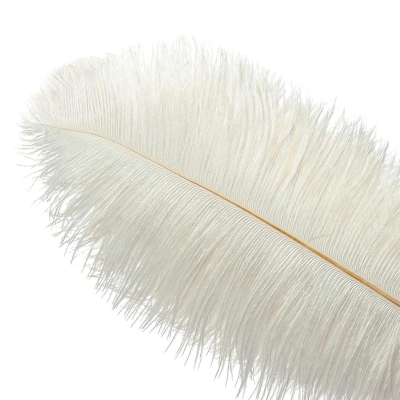 White Ostrich Feathers – Premium Fine Shaft, 30-35cm, 10 Pieces, DIY Craft, Wedding Decor