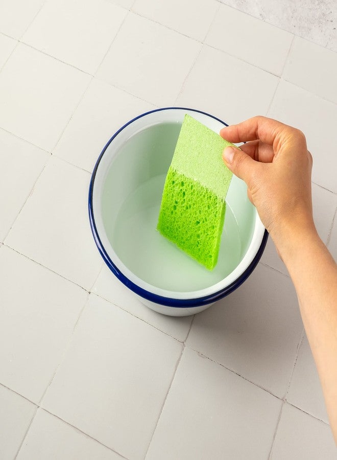 Aryaa ARYA. | Pop-Up Eco Sponges 24 Pack | Natural Cellulose | Compostable & Biodegradable | Compressed Kitchen & Bathroom Sponges | Plastic-Free & Non-Scratch (24) - Image 5