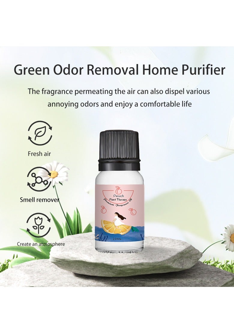 6-piece aromatherapy oil gift box set, transparent 10ml  - Image 3