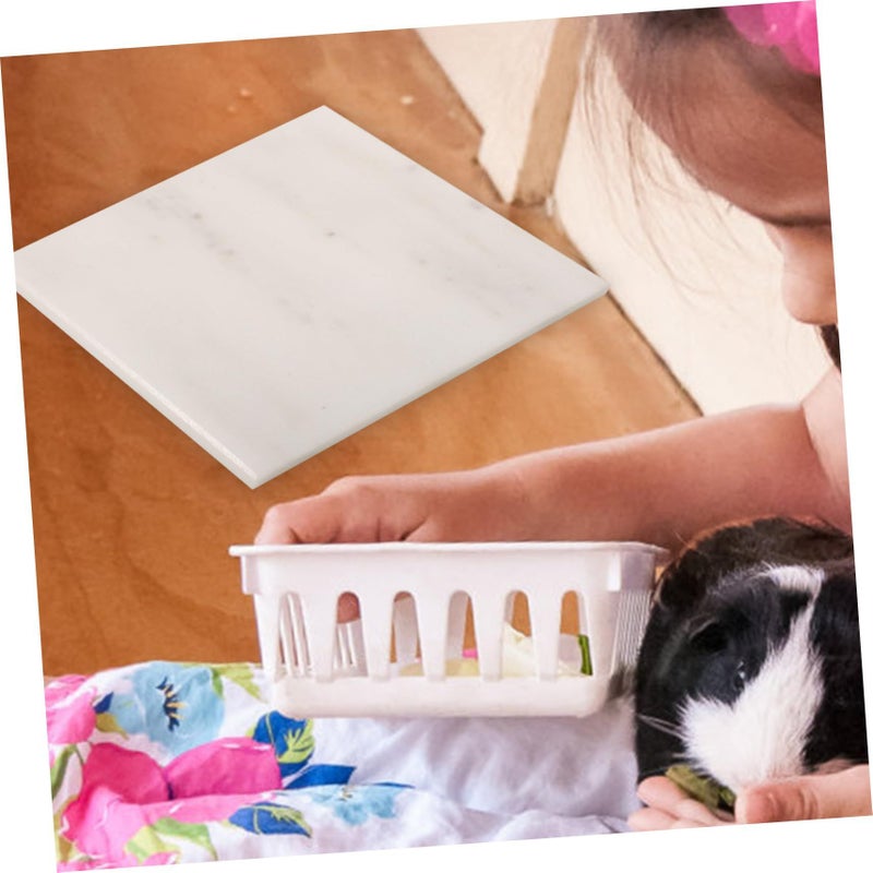 Natural Marble Cooling Mat for Hamsters Rabbits Guinea Pigs Summer Relief Non Slip - Image 5