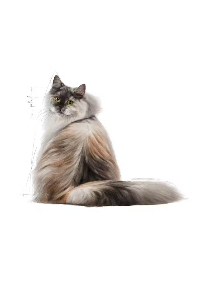 رويال كانين للعناية بالقطط والتغذية للشعر والبشرة 2 كجم - Image 4