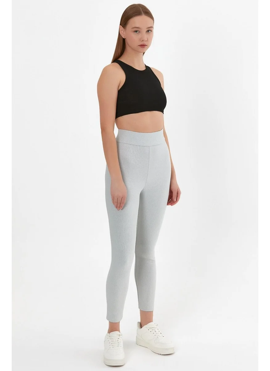 Alexander Gardi High Waist Leggings (B23-005400)