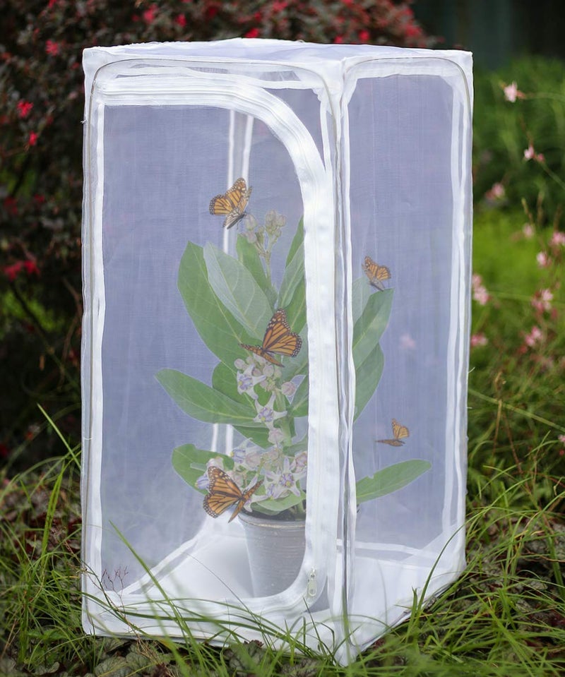 RESTCLOUD 30 Heavy Duty Monarch Butterfly Habitat Outdoor Collapsible Insect Mesh Cage Terrarium Popup with Zipper Protection - Image 2