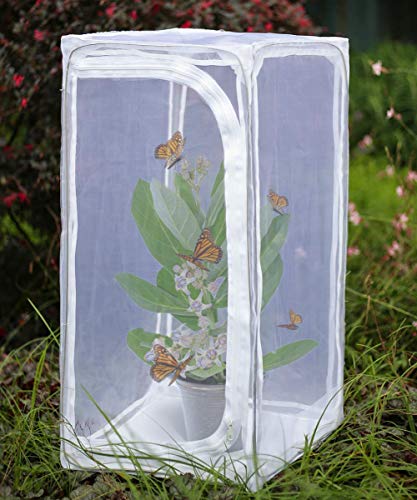 RESTCLOUD 30 Heavy Duty Monarch Butterfly Habitat Outdoor Collapsible Insect Mesh Cage Terrarium Popup with Zipper Protection - Image 1