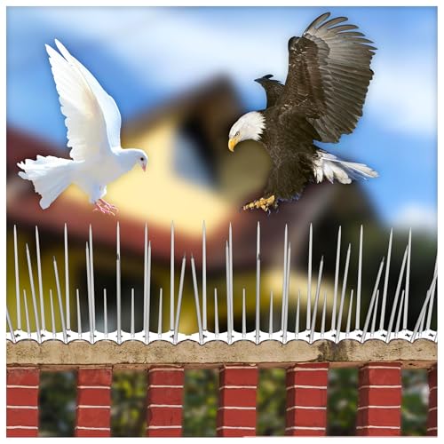 Eightiz (Pack of 30) New Sharp Bird and Pigeon Spikes, Pigeon Control Spikes Anti Bird Plastic Spikes for AC Balcony Railing Window Home Protection from Pigeon Dog Monkey Crow Kabootar Transparent - Image 1