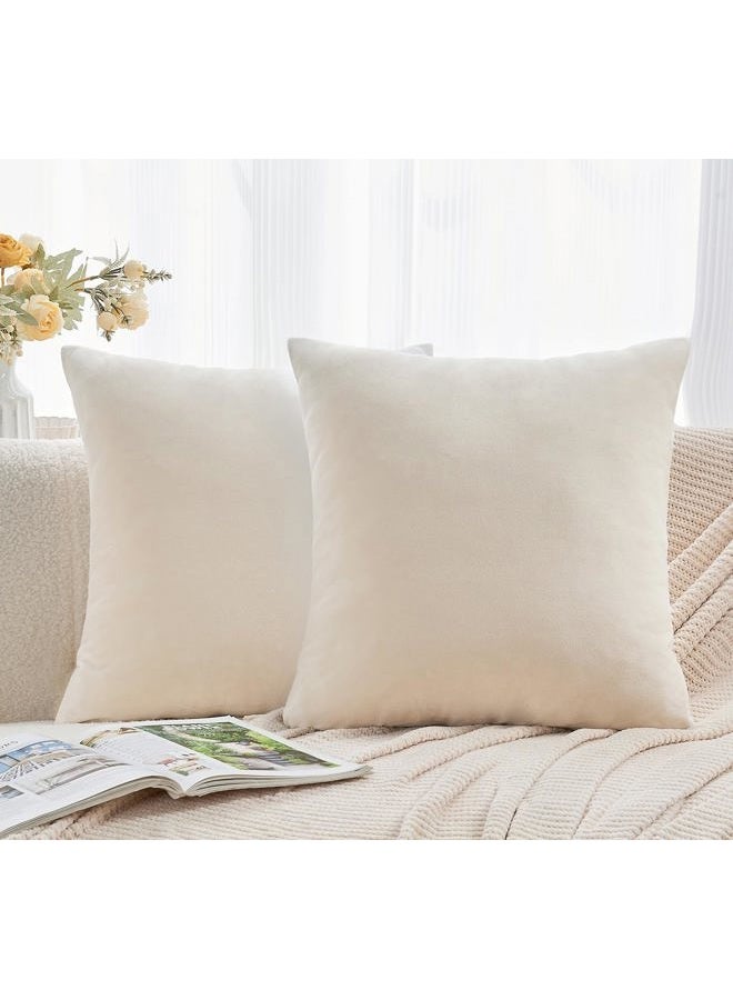 GriNeed Throw Pillow Covers Neutral Beige Set of 2 18x18 Inch Pillow Covers, Soft Velvet Farmhouse Decorative Pillowcases for Couch Sofa Bed, Home Boho Decor, Modern Cushion Covers - Image 2