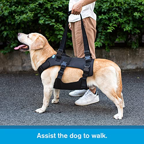 Yrenoer Dog Lift Harness, Rehabilitation Lifts Vest for Dogs, Support & Recovery Sling, Adjustable Breathable Lifting Straps for Old, Joint Injuries, Arthritis, Paralysis Dogs Walk (XL, Black) - Image 3
