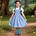 G.C GC Girls Blue Plaid Costume Kids Book Storybook Character Dress Up Outfits Halloween Cosplay Role Play Birthday Gifts - Image 4