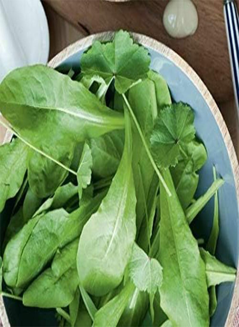 GGOOT Seeds of Vegetable Native British Leaves Urban Forager Seed Mix