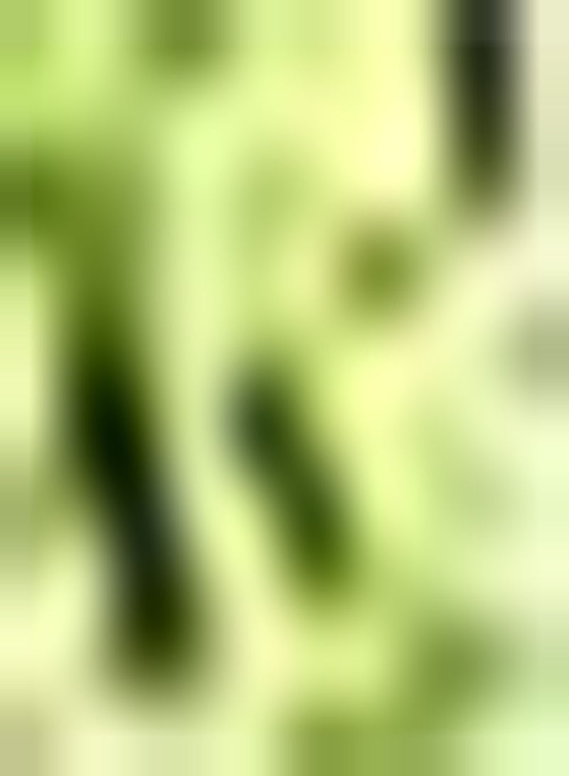 جي جوت 30 قطعة من بذور القرع المر، محاصيل نباتية أساسية للحديقة الخضراء، سهلة الصيانة والبقاء، استمتع بمتعة الحصاد - Image 1