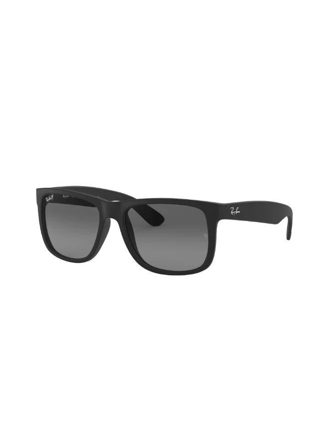 0RB4165 Justin Classic Sunglasses
