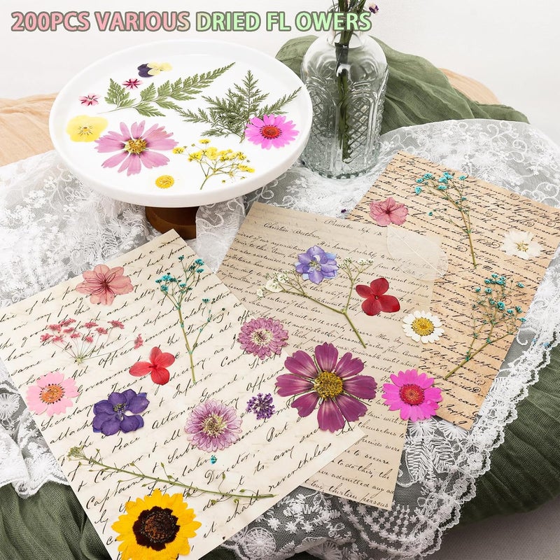 Gvhntk 200Pcs Dried Pressed Flowers Resin Mould Real Flowers Natural Dry Leaves Bulk Mixed Colorful Herbs Kit with Tweezers for Scrapbooking DIY Candle Jewelry Crafts Making Nails Decoration(Multicolor) - Image 2