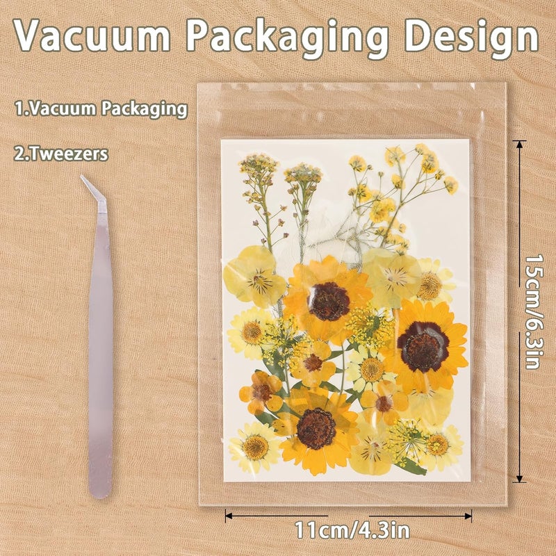 Gvhntk 200Pcs Dried Pressed Flowers Resin Mould Real Flowers Natural Dry Leaves Bulk Mixed Colorful Herbs Kit with Tweezers for Scrapbooking DIY Candle Jewelry Crafts Making Nails Decoration(Multicolor) - Image 3