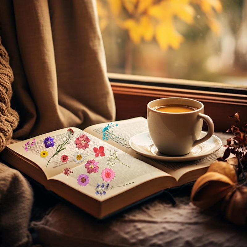 Gvhntk 200Pcs Dried Pressed Flowers Resin Mould Real Flowers Natural Dry Leaves Bulk Mixed Colorful Herbs Kit with Tweezers for Scrapbooking DIY Candle Jewelry Crafts Making Nails Decoration(Multicolor) - Image 5