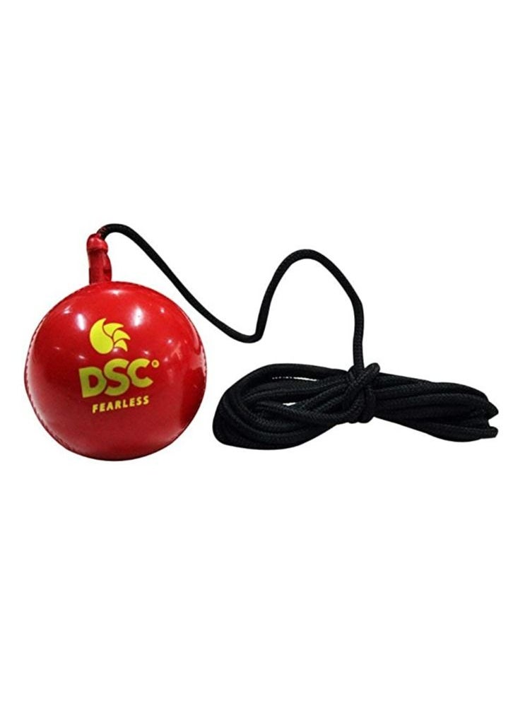 DSC Hanging Synthetic Cricket Ball | Rubber | Suitable for Practice Game | Solid inner core | Weatherproof | Training | Lightweight  - Image 3