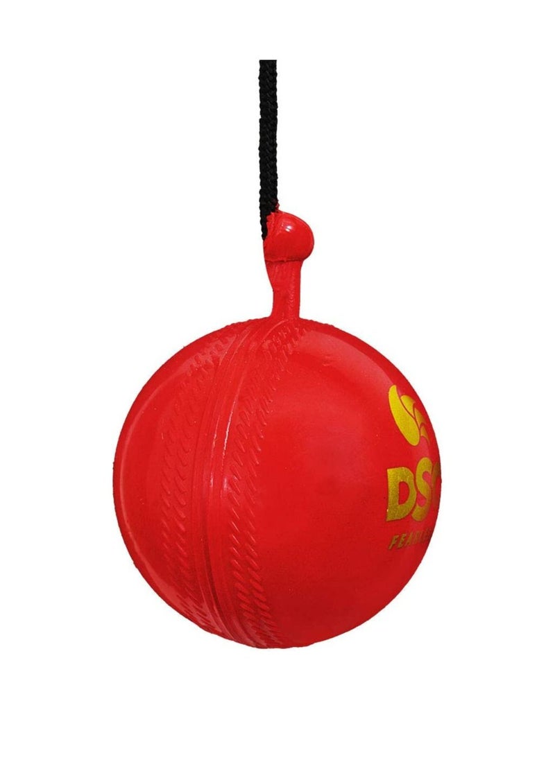 DSC Hanging Synthetic Cricket Ball | Rubber | Suitable for Practice Game | Solid inner core | Weatherproof | Training | Lightweight  - Image 2