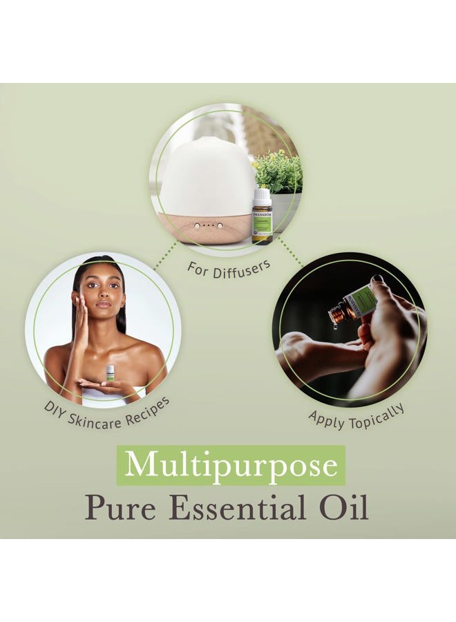 PRANAROM USDA Certified Organic Lavender Essential Oil (15ml), 100% Pure Undiluted Therapeutic Grade from French Alps for Aromatherapy, Diffuser, Healthy Skin & Hair, Massage, Relaxation - Image 4