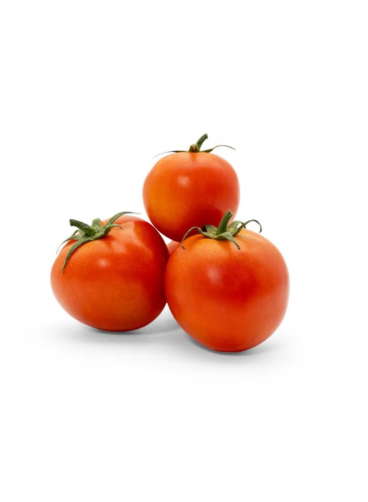 Fresh Greenhouse Tomato 400-500g, Red Tomato Vegetable
