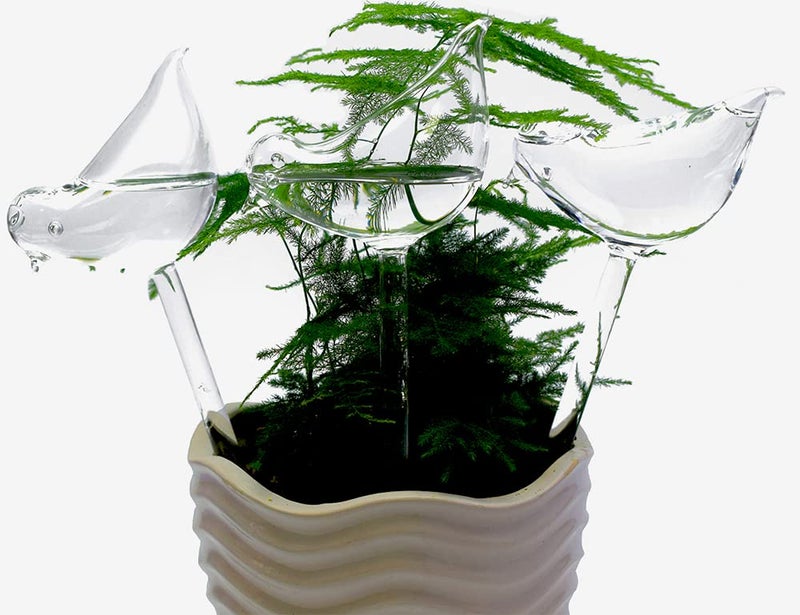 Adabocute Glass Plant Watering Globes, Self Watering Globes Bird Shape, Self Watering Planter Insert, Plant Watering Devices, Automatic Plant Waterer Indoor, Watering Bulbs, 3 Pack - Image 4