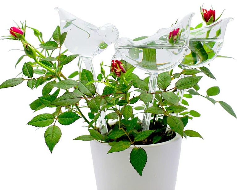Adabocute Glass Plant Watering Globes, Self Watering Globes Bird Shape, Self Watering Planter Insert, Plant Watering Devices, Automatic Plant Waterer Indoor, Watering Bulbs, 3 Pack - Image 3
