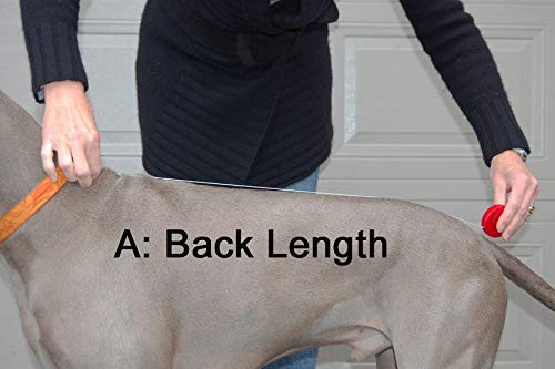 Petslover Dog Coats - Cold Weather Dog Jacke -Coat Sweater Hoodie Outwear Apparel, Pockets, Rain/Water Resistant, Adjustable Drawstring - Image 5