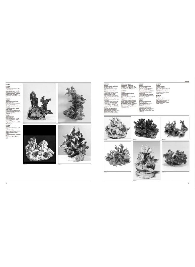 Lucio Fontana Catalogue Raisonné (Bilingual edition): Catalogue Raisonné of Ceramic Sculptures