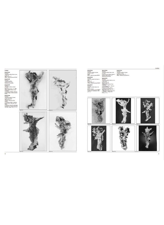 Lucio Fontana Catalogue Raisonné (Bilingual edition): Catalogue Raisonné of Ceramic Sculptures