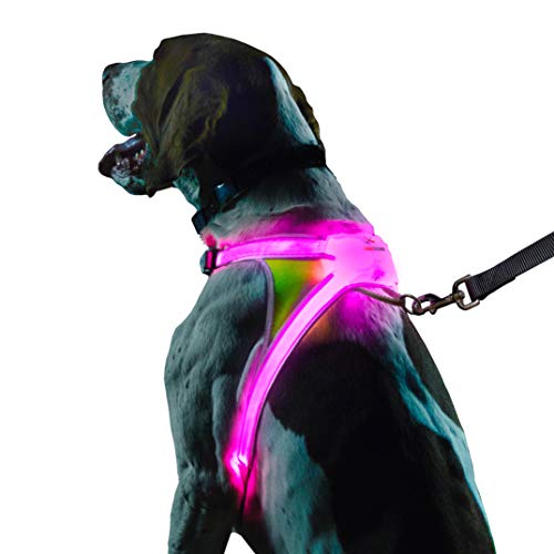 Noxgear LightHound – Revolutionary Illuminated and Reflective Harness for Dogs Including Multicolored LED Fiber Optics (USB Rechargeable, Adjustable, Lightweight, Rainproof) (Small) - Image 1