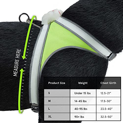 Noxgear LightHound – Revolutionary Illuminated and Reflective Harness for Dogs Including Multicolored LED Fiber Optics (USB Rechargeable, Adjustable, Lightweight, Rainproof) (Small) - Image 3
