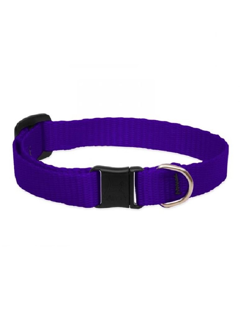 Basic Solids Safety Cat Collar Without Bell Purple