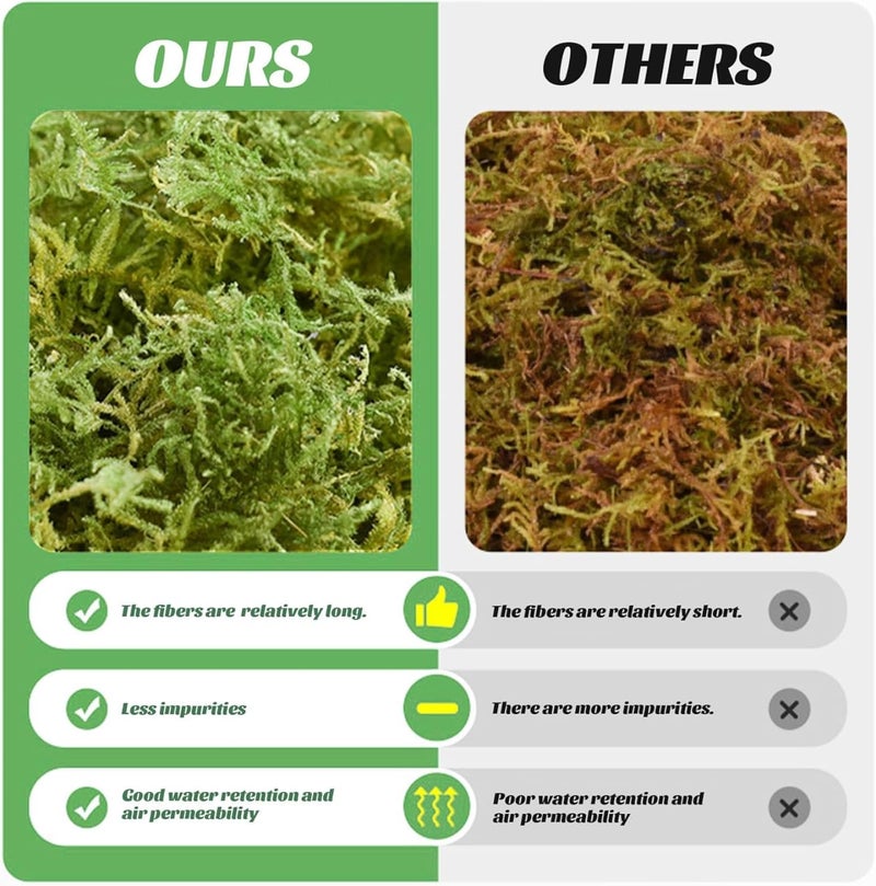 Sphagnum Moss for Plants - 150g Natural Dried Compressed Moss | Premium Potting Mix for Orchids, Succulents | Ideal for Reptile Terrariums, Plant Growing Medium - Image 4
