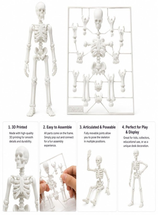 Budget Box TinkerCad 3D Printed Articulated Skeleton Figure, Poseable Ball-Joint Design, Easy Assembly Kit for Play & Display - Image 3