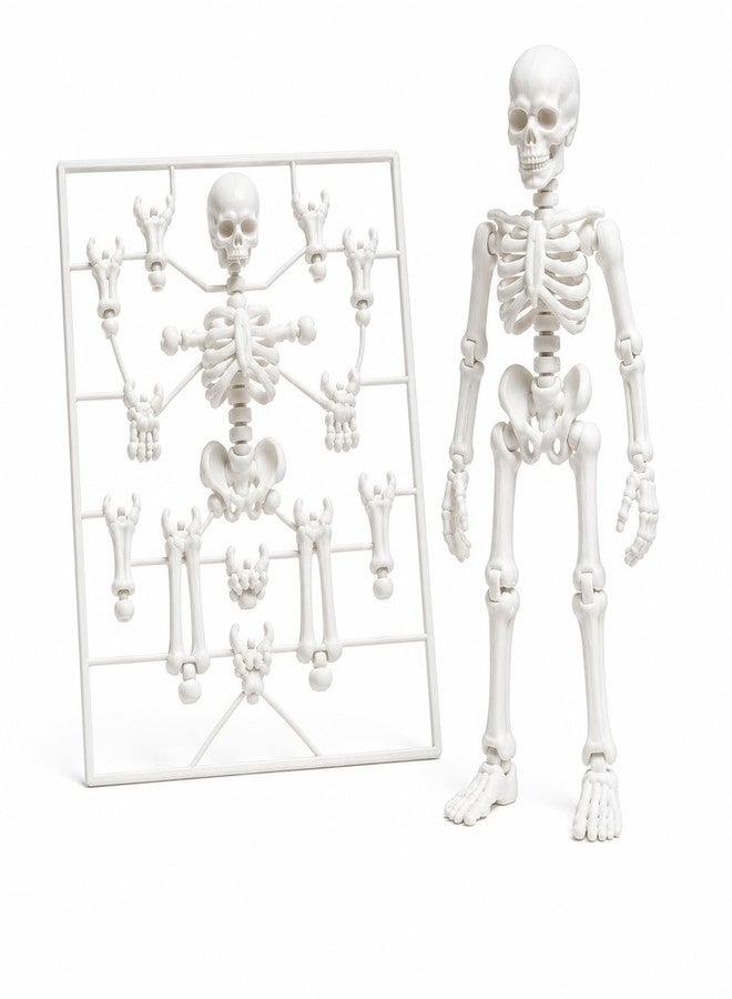 Budget Box TinkerCad 3D Printed Articulated Skeleton Figure, Poseable Ball-Joint Design, Easy Assembly Kit for Play & Display - Image 1
