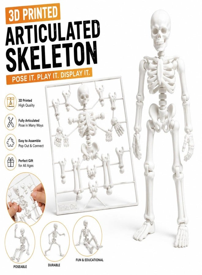 Budget Box TinkerCad 3D Printed Articulated Skeleton Figure, Poseable Ball-Joint Design, Easy Assembly Kit for Play & Display - Image 4