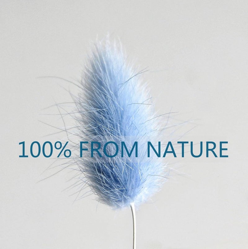 CKBT 120 PCS Blue Dried Pampas Grass Decor, 17-inch Pompas Floral, Dry Flowers for Decoration, Pampas Grass in Bulk Tall, Blue Bunny Tails Dried Flowers for Boho Wedding Decor - Image 4