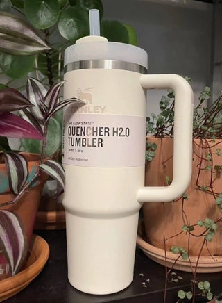 Stanley Quencher H2.0 FlowState Stainless Steel Vacuum Insulated Tumbler with Lid and Straw for Water, Iced Tea or Coffee, Smoothie and More,  40 oz - pzsku/ZA2947940BAE0B8F45986Z/45/_/1721984211/fd385208-5acf-4a43-9f59-bcd136579dc9