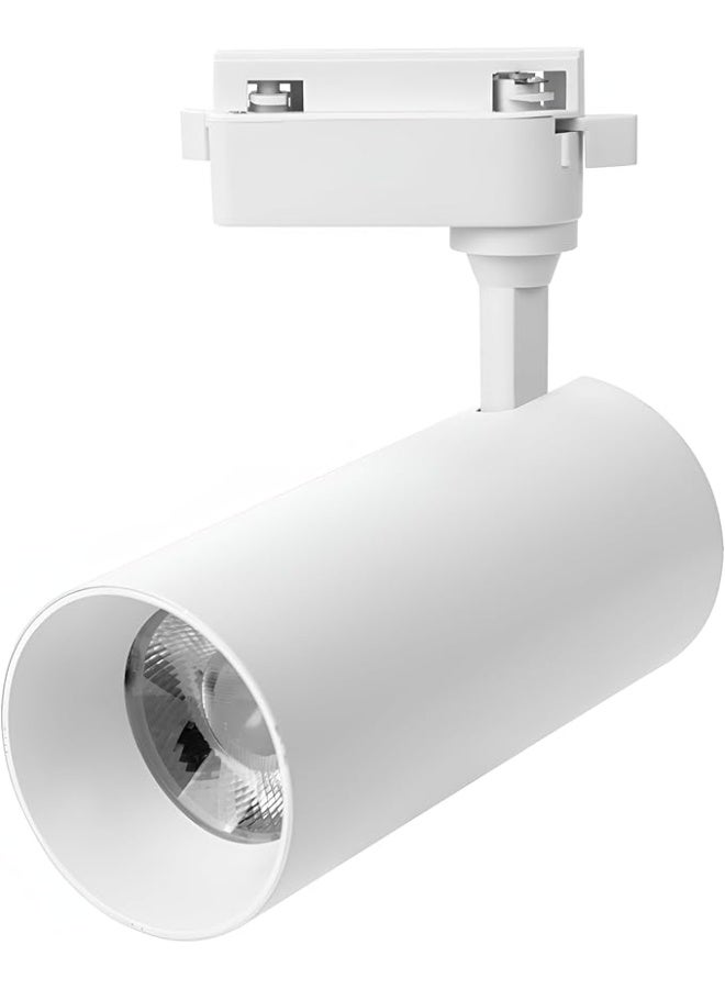 30W LED Track Light, COB Spotlight , 2500Lm, CRI>80, 24° Beam Angle, AC175-265V, PF>0.5, Aluminum Body, 2KV Surge Protection (WARM WHITE, WHITE)
