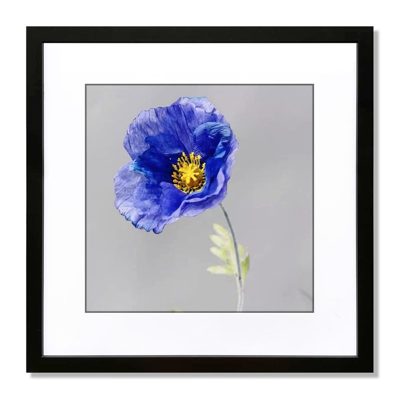 VNVNK 16x16 Frame Black, Perfect for 16x16 Inch Photo Frame without Mat or 12x12 Inch Photo Frame with Mat, Home Wall Decor Picture Frame-1 PCS - Image 1