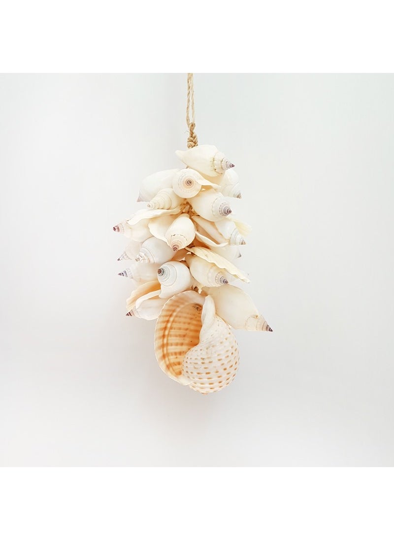 evinizdeki okyanus esintisi turkuaz hediyelik Shell Bouquet-Tesselata-Epidormis 