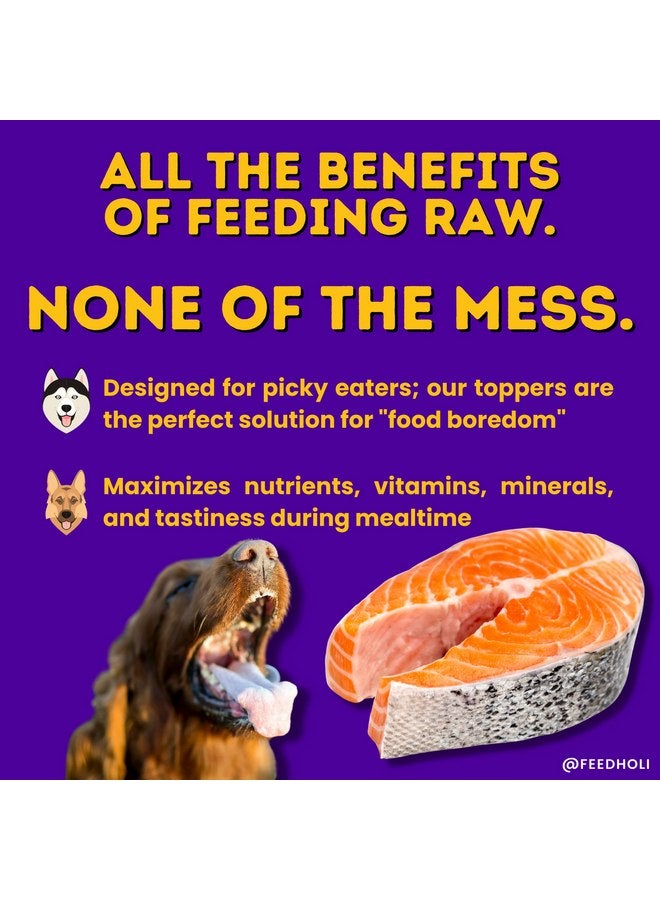 هولي غطاء طعام الكلاب المصنوع من سمك السلمون المجفف بالتجميد من هولي - مع أوميجا 3 و6 - مكون واحد، سمك السلمون البري المخصص للبشر - معزز نكهة طعام الكلاب للكلاب الانتقائية - طبيعي بنسبة 100% - 1.5 أونصة - Image 3
