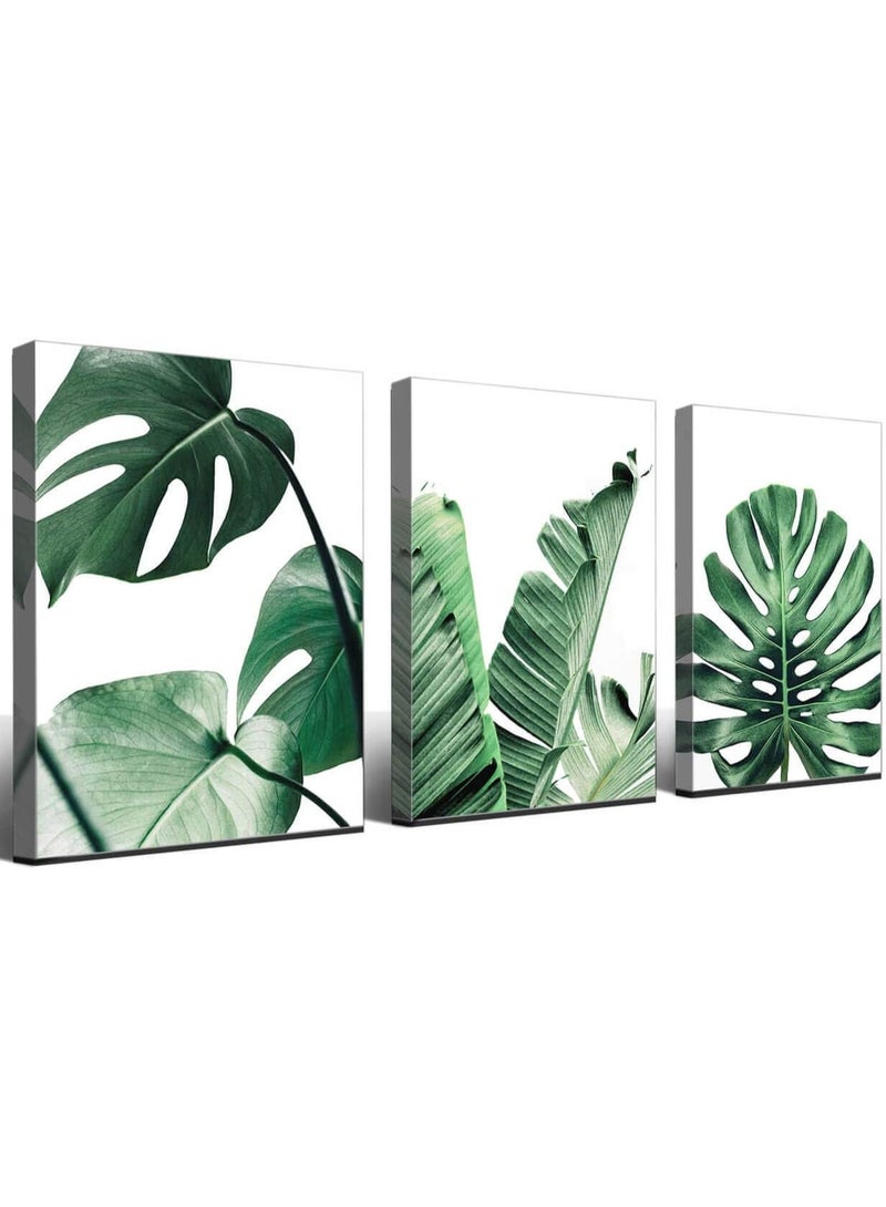 EMODA لوحة فنية جدارية من القماش، لوحة حياة بسيطة، ورقة خضراء، ديكور حائط الحمام، نبات مونستيرا، 12×16 بوصة - 3 قطع من الصور القماشية المؤطرة - Image 1