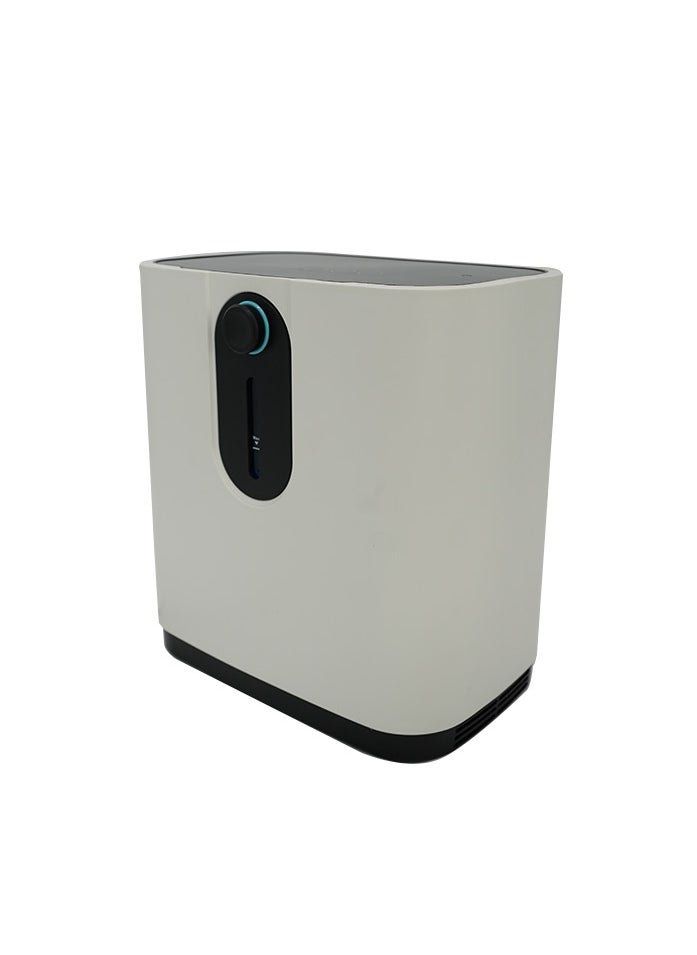 Portable Oxygen Concentrator