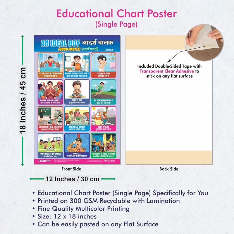 ESCAPER An Ideal Boy Educational Charts (11.5 x 17.5 inches), 300 GSM Paper, Laminated, Self Adhesive Back, Kids Learning Posters, Perfect For Home Schooling, Nursery Students - Image 3
