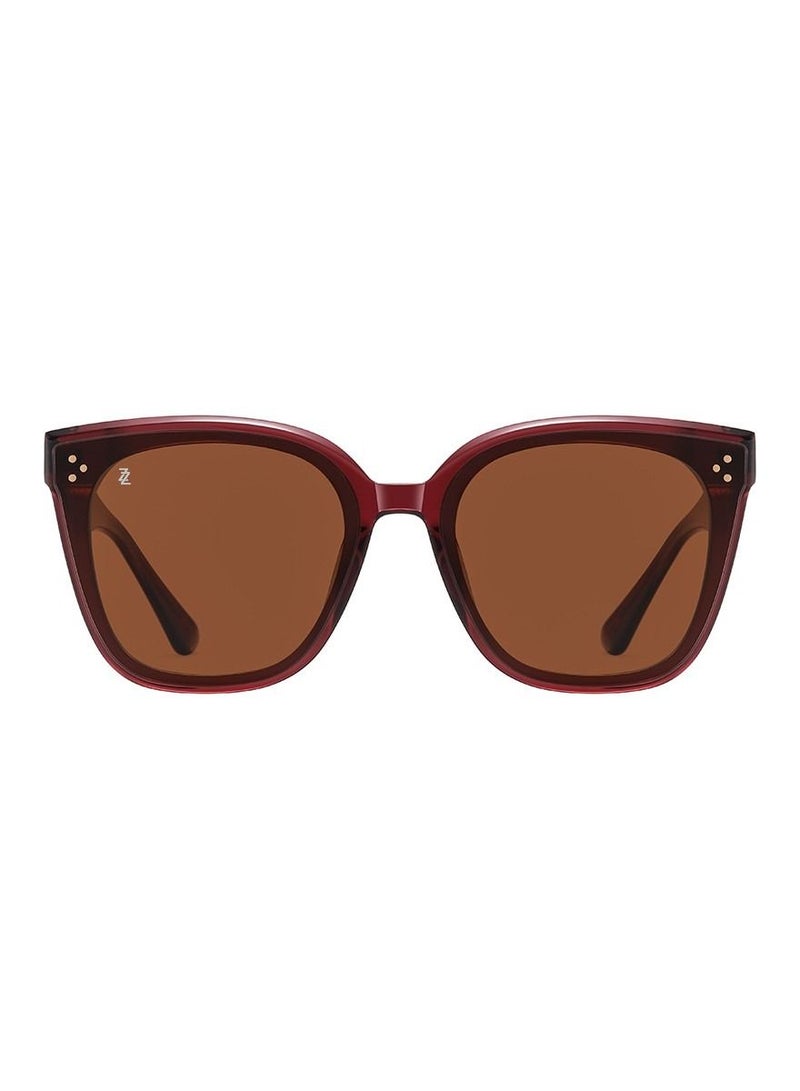 Ziazone Acetate Square Sunglasses - Image 1