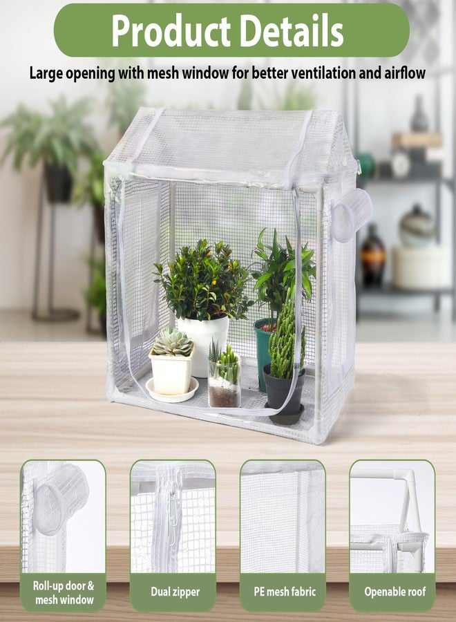 FHWTY Mini Greenhouse for Indoor Plants, Fully Enclosed Mini Indoor Greenhouse with Top Opening, Waterproof Small Indoor Greenhouse for Nursery & Germination - Image 4