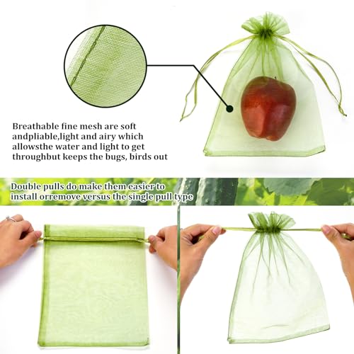 FloraSea 50 PCS 6X9 inches Fruit Protection Bags, Fruit Bags for Fruit Trees, Green Netting Fruit Cover Bags Drawstring Mesh Fruit Protectors Pest Barrier for Fruit Trees Veggies Garden - Image 3
