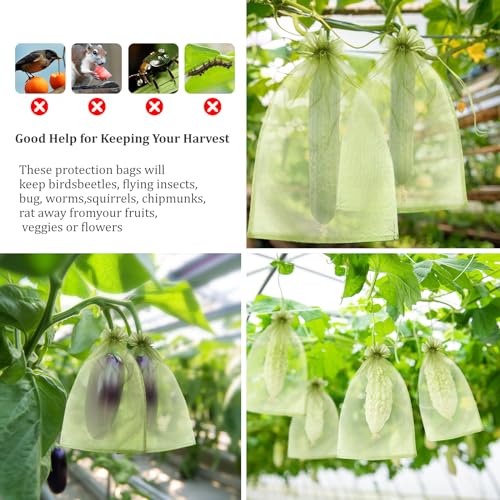 FloraSea 50 PCS 6X9 inches Fruit Protection Bags, Fruit Bags for Fruit Trees, Green Netting Fruit Cover Bags Drawstring Mesh Fruit Protectors Pest Barrier for Fruit Trees Veggies Garden - Image 4